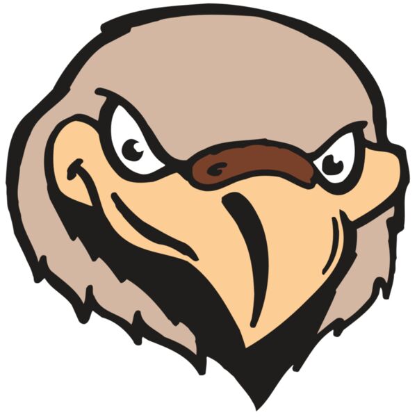 AR FALCON 33 RC Thumbnail